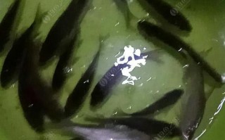 成都兄弟垂钓园夜钓规定及注意事项