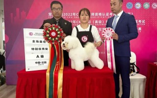 沈阳宠物美容设备厂家推荐