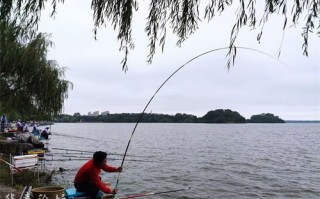 休闲垂钓政策