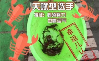 龙虾垂钓园收费方式和注意事项