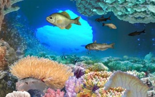 深海垂钓安卓下载