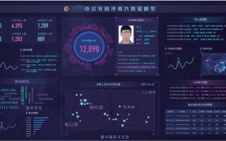 大数据环境下公安情报学研究