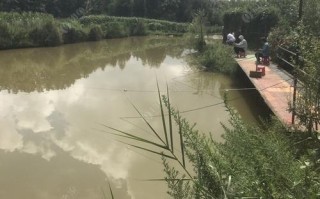 楚雄哪里可以钓鲢鱼