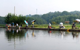清流垂钓基地