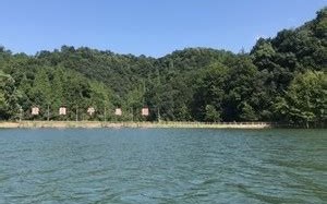 千岛湖垂钓大头鱼视频播放