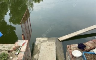 西瓜釆摘视频