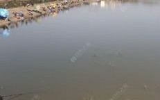 河洛垂钓水位查询