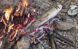密云垂钓烤鱼地址