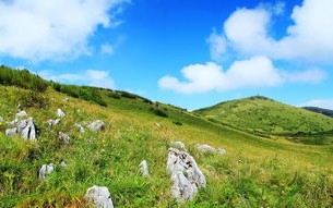吐鲁沟国家森林公园：避暑胜地，亲近自然