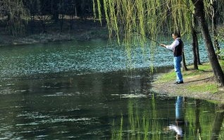 在微型计算机中应用最普遍的字符编码是什么?