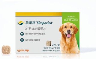 自制宠物驱虫方法