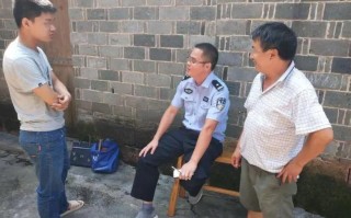 哪里买边境牧羊犬