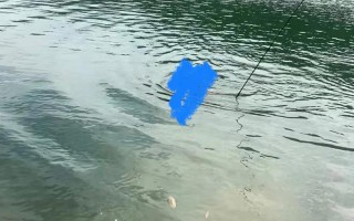 水库钓鱼属于哪个部门管理