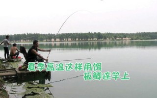 合肥南淝河野钓