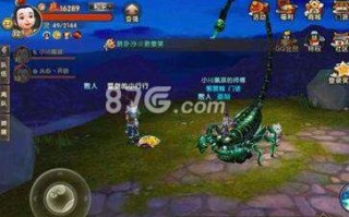猫游记宠物蛋的作用解析