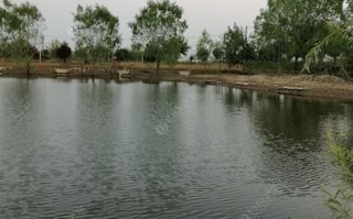 江夏中州府生态园