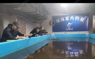 增值税缴纳逾期