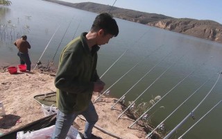 天津鼎盛旗下主播