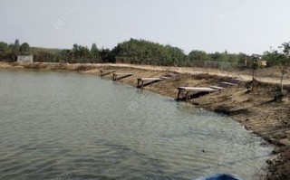 钟祥烧烤垂钓