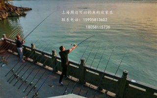 垂钓活动