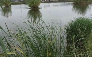 上犹江水库钓鱼