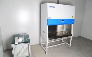 云南宠物托运公司查询