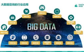 vs大数据分析