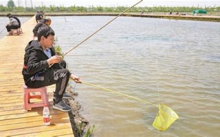 夏天钓鱼必备