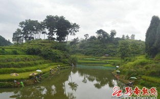 新民活鱼批发市场