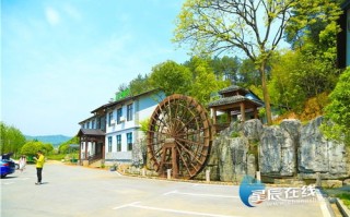 蓝莓基地介绍
