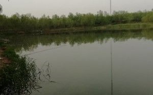 wincc取消激活时卡住了怎么办