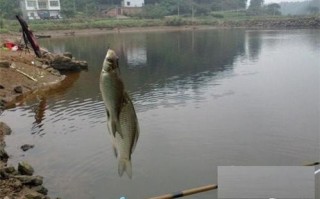 六安野钓地点