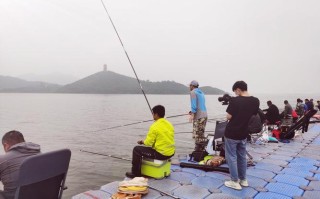 了解金湖新村