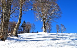 亚布力滑雪胜地，从初学者到高手的滑雪乐园