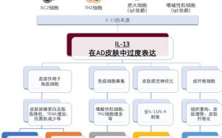 大数据强调