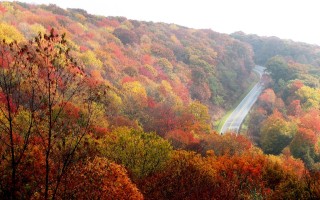 2024年全国赏秋地图出炉，秋季旅游的新视角与深度解读