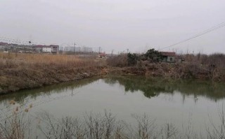 农村垂钓园的价格