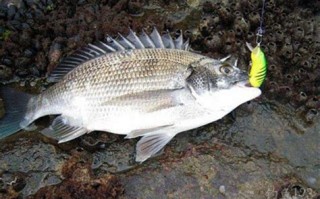 唐山野钓