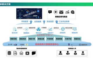 数字政府的实例