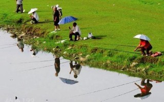 夏季野外垂钓指南