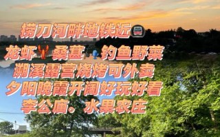 垂钓拼音是什么
