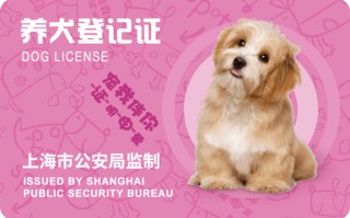 托运宠物哪个平台