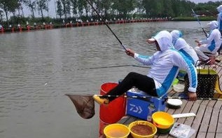 经营黑坑垂钓的关键因素和建议