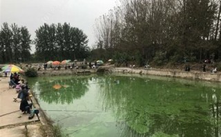 海棠湾垂钓园电话地址