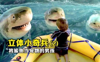 宠物鲨鱼的