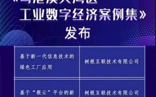 跨境就医潮涌共促大湾区医疗互联互通