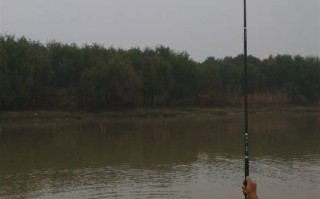 长江什么时候可以钓鱼