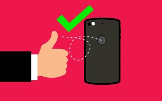 零五网App，开启免费下载新纪元，让信息触手可及
