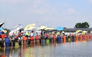 曙光赛鸽俱乐部