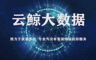 大数据营销模式